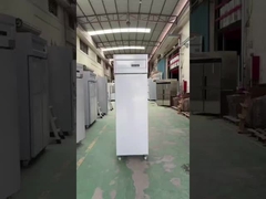 Ein-Türen-Standkühlschrank