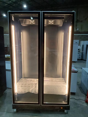 2 Glastüren Getränke Anzeige Kühlschrank