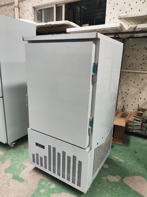 10 Schalen Gefrierschrank Gewerblicher Kühlschrank -40 Grad Niedertemperatur